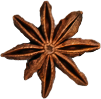 Sternanis auf grauer Oberfläche, weihnachtliches Gewürz mit sternförmiger Struktur.
