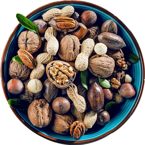 Schale mit verschiedenen Nüssen auf rustikalem Holztisch, festlich dekoriert mit grünen Blättern.