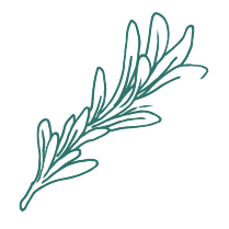 Icon Rosmarin