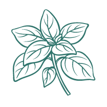 Icon Oregano