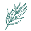 Grafik Estragon