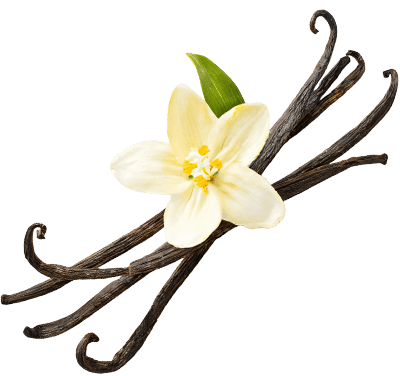 Frische Vanilleschoten