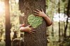 Baumstamm im Wald mit einem grünen Herz für Nachhaltigkeit wird von Händen umarmt 