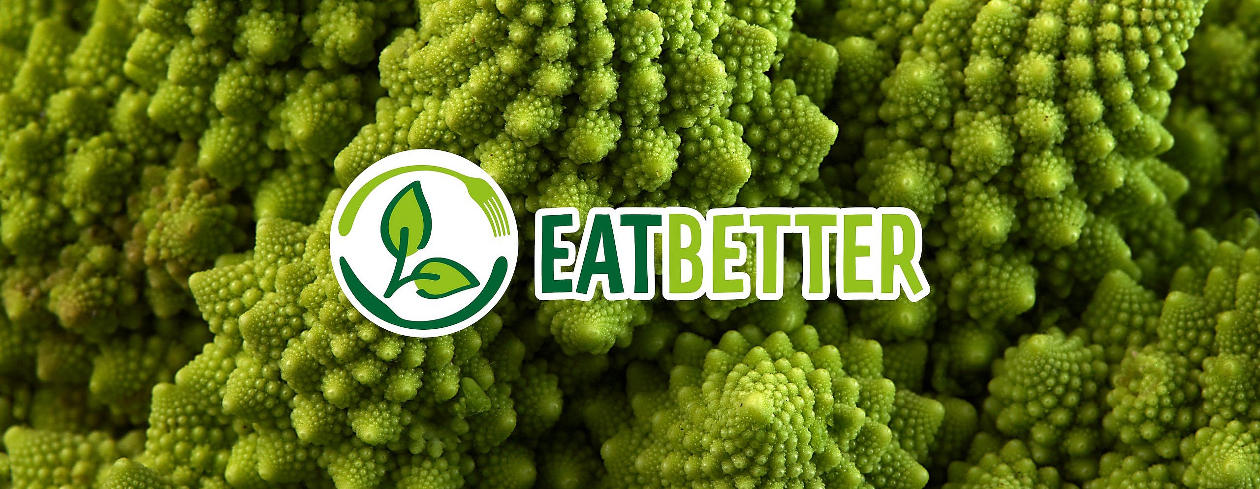 Im Hintergrund grüne spitze Pflanzen mit der Aufschrift in hell& dunkelgrün: EATBETTER 